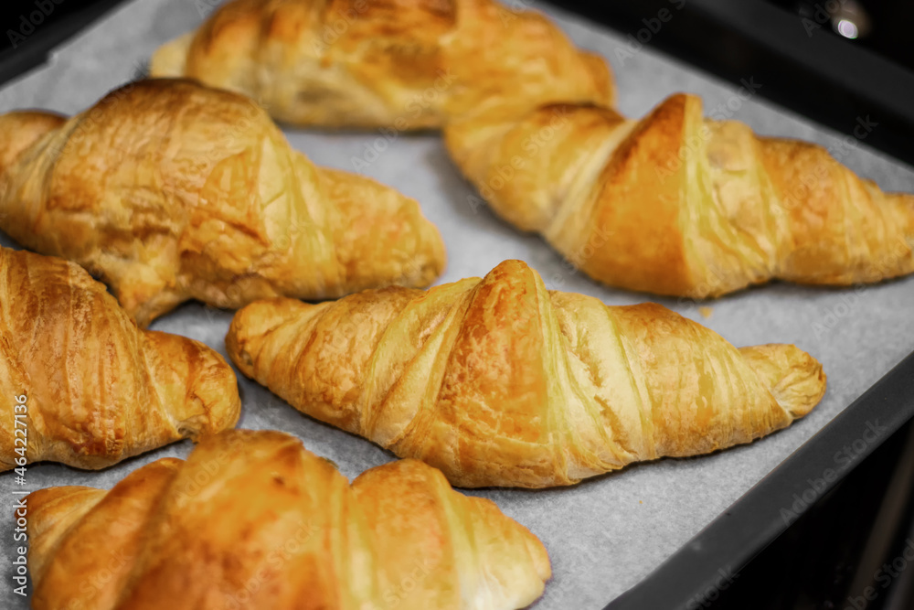 Homemade freshly baked delicious croissants lie on a baking sheet