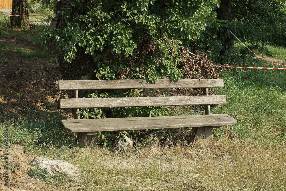 one gray empty wooden bench stands in the grass near a tree with green leaves in the park one gray empty wooden bench stands in the grass near a tree with green leaves in the park