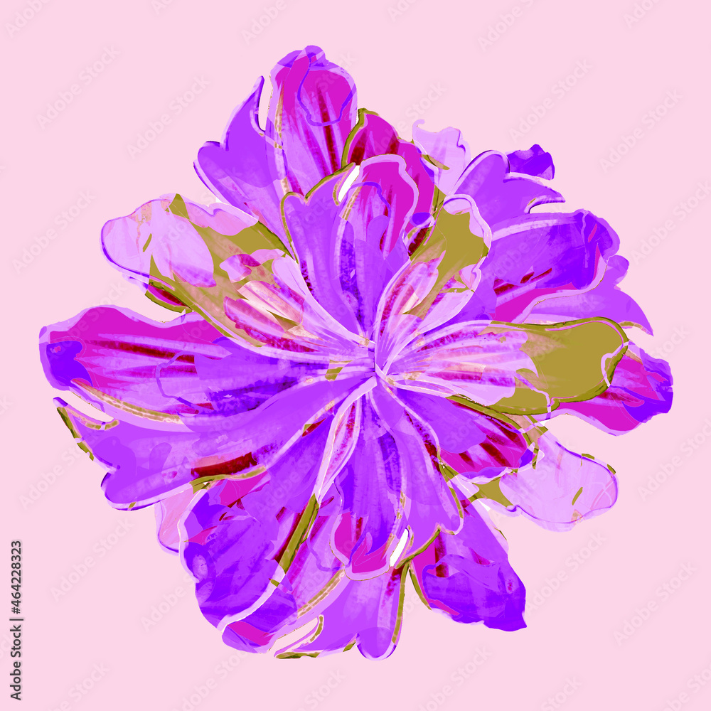 Obraz premium flower isolated on white
