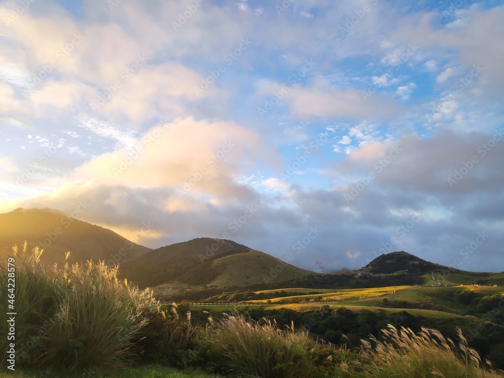 Obraz premium The natural source of alpine grasses is at Shangshan in Taipei City, Taipei City, Taiwan