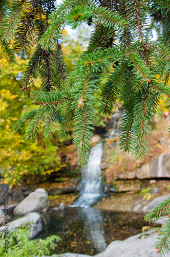 blurred waterfall view with fir tree branch, copy space