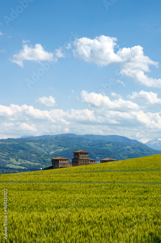 Medieval castle of Torrechiara, Parma province, Italy photo