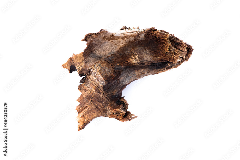 Tree wood knot isolated on the white background. Tree wood knot isolated on the white background.