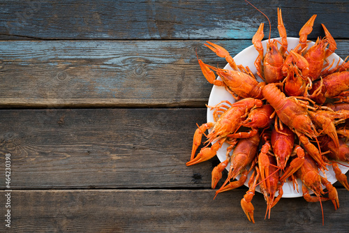 Boiled crawfish on the plate on the wooden table background with copy space. photo
