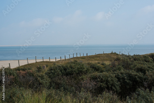 dunes and beach of the north sea 