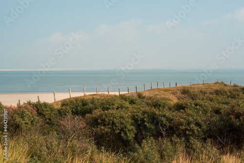 dunes and beach of the north sea 