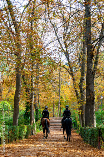 Autumn. Police officer mounted on a horse passing through a road full of dry leaves due to autumn in the Retiro Park in Madrid, Spain. Semi-bare tree branches Europe. Vertical Photography.
