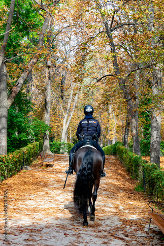 Police officer mounted on a horse passing through a road full of dry leaves due to autumn in the Retiro Park in Madrid, Spain. Semi-bare tree branches Europe. Vertical Photography. © Fernando Astasio