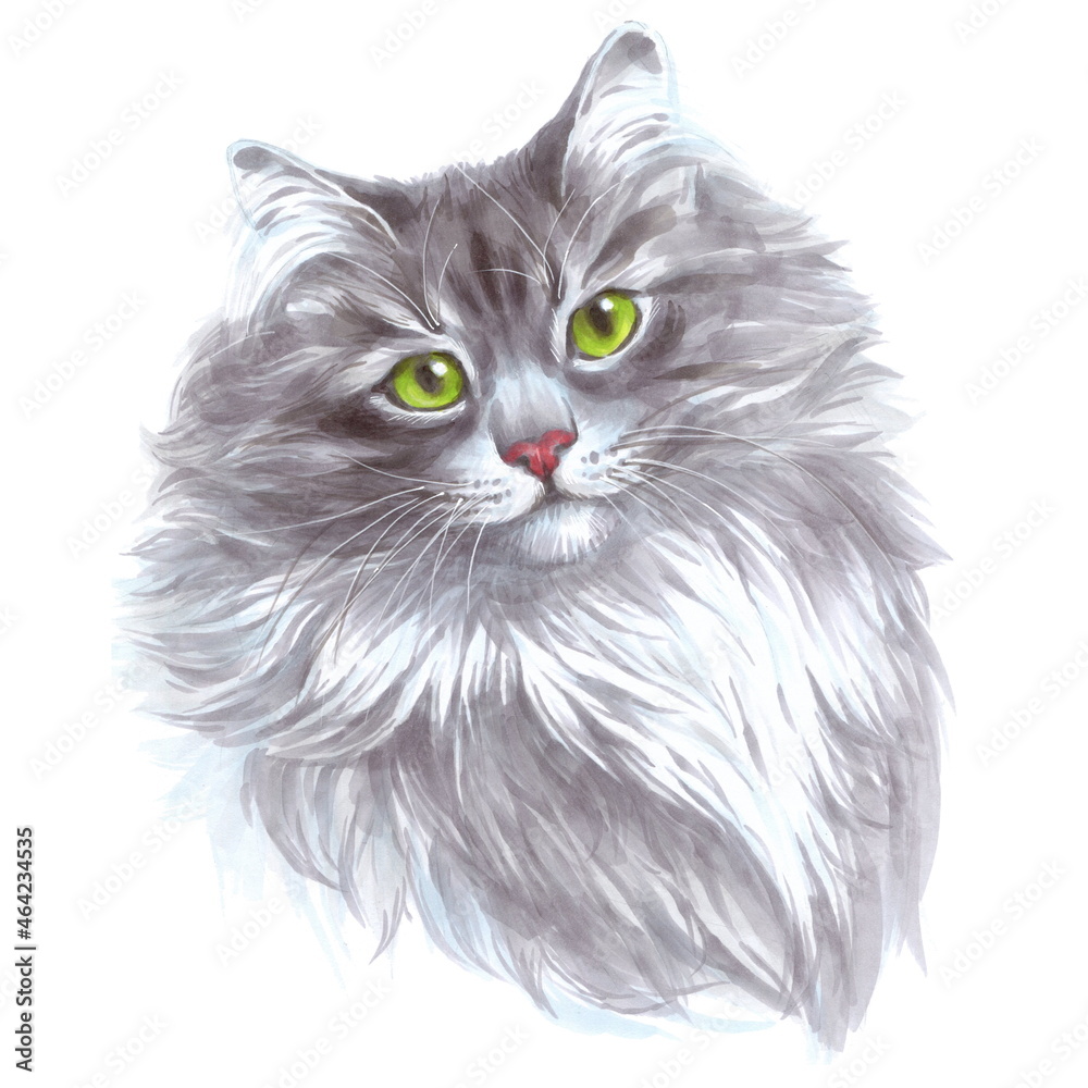 Obraz premium Hand drawn sketch markers illustration of cat. Portrait of cute kitty isolated on white.