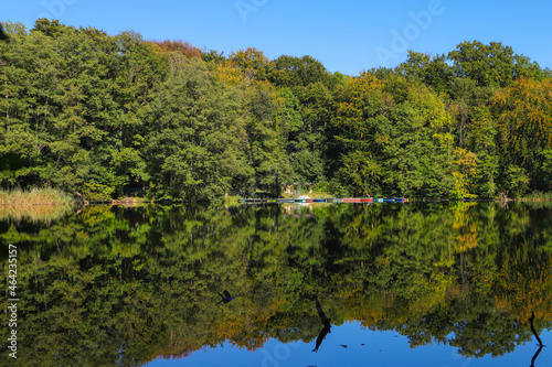 View at Huwenow lake in meseberg in autumn, federal state Brandenburg - Germany