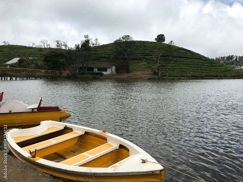 Lake, boat and tea plantation