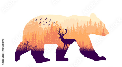 Magic misty forest in silhouette of bear. Trees, deer on meadow in grass, birds. Pink and orange wild landscape illustration. Animal isolated on white background.
