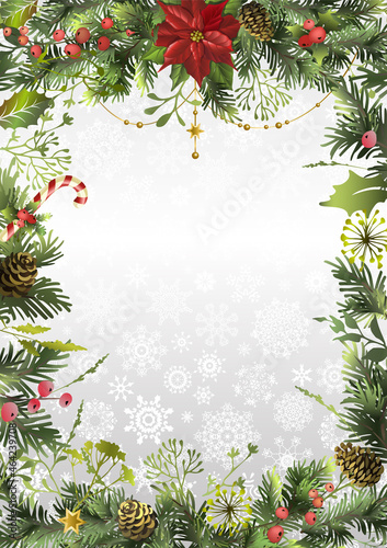 Christmas holidays background with branches  poinsettia flower  holly berry and space for text. Postcard.