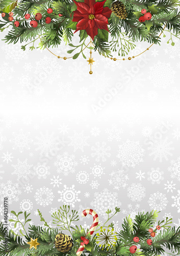 Christmas holidays background with branches, poinsettia flower, holly berry and space for text. Card or invitation template. Christmas frame.
