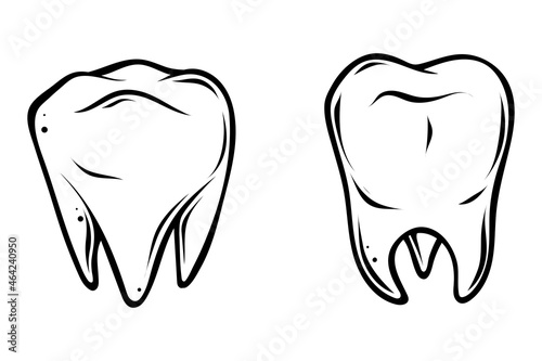 Human teeth, hand drawn vector illustration