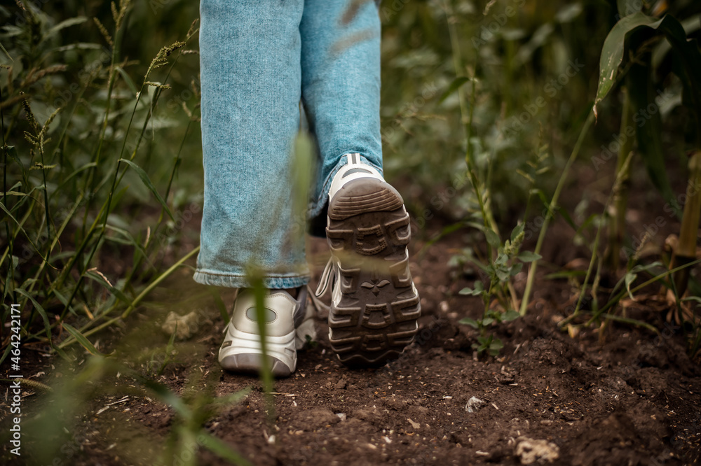 a girl in white sneakers walks on the grass in the wilderness. a low close-up from the ground of a shoe. a girl in white sneakers walks on the grass in the wilderness. a low close-up from the ground of a shoe.