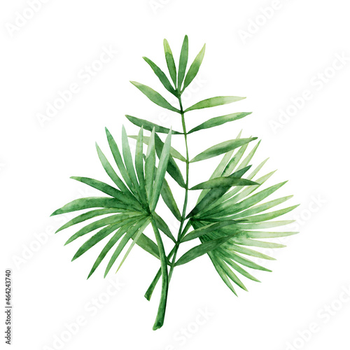 Green palm leaves bouquet. Tropical twigs, branches set. Moody jungle florals. Watercolor free-hand illustration for postcard, invitation, banner, event flyer, poster, presentation, menu, lifestyle
