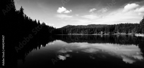 lake and reflection on friuli venezia giulia, black and white