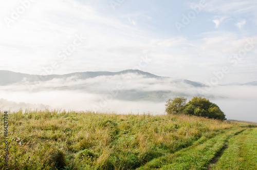 beautiful landscape of early autumn. Misty mountains in September. green fields with fog on background