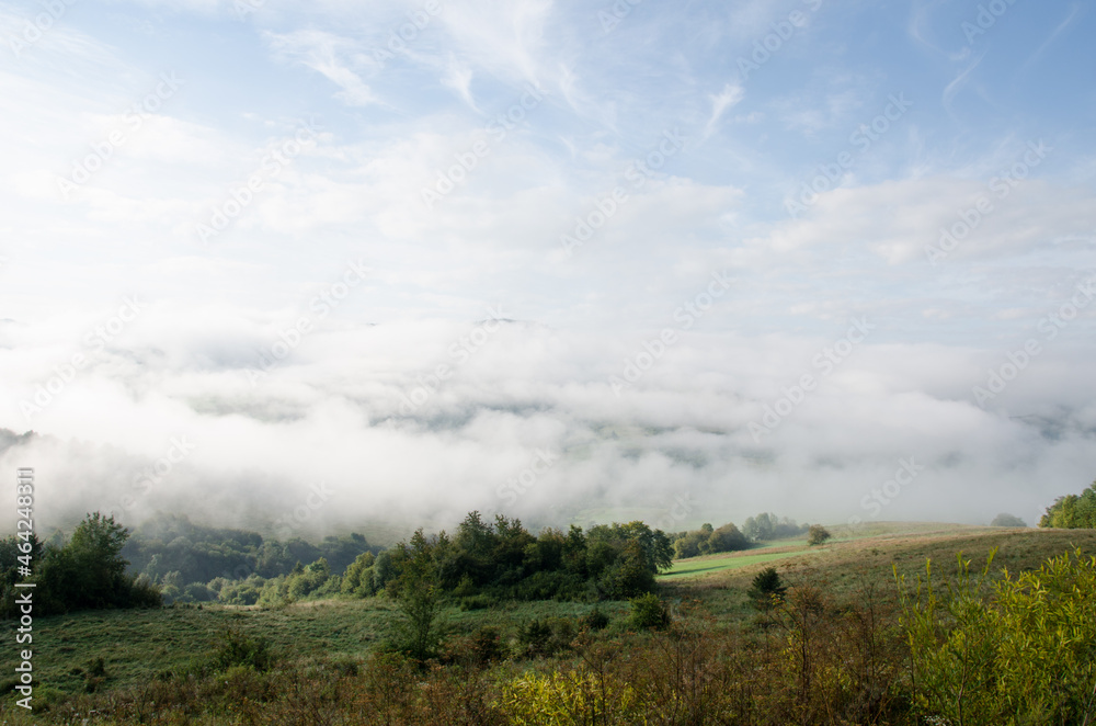 Foggy landscape with mixed forest. trees in the fog. landscapes of the Carpathian mountains in September