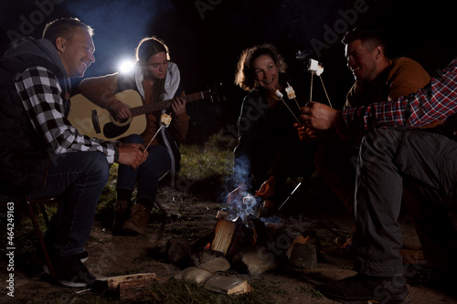 Group of friends roasting marshmallows on bonfire at camping site in evening