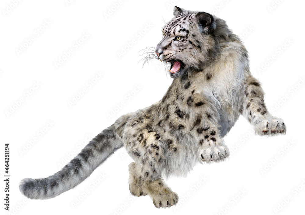Obraz premium 3D Rendering Snow Leopard on White
