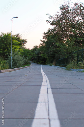 road in the park