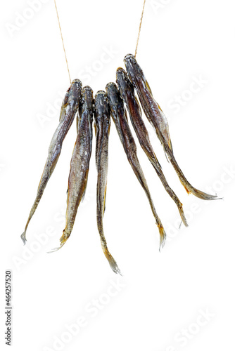 Few cured white-eye bream (Ballerus sapa) fishes isolated on a white background photo