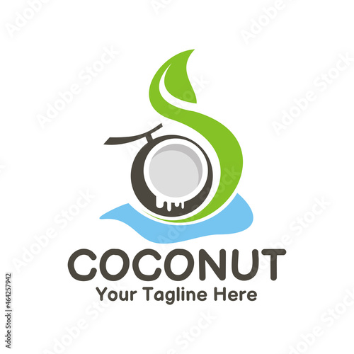 illustration vector graphic of half fresh coconut and green leaf on water, perfect for fruit, drink, logo, juice, product, health, restaurant, cafe, etc.