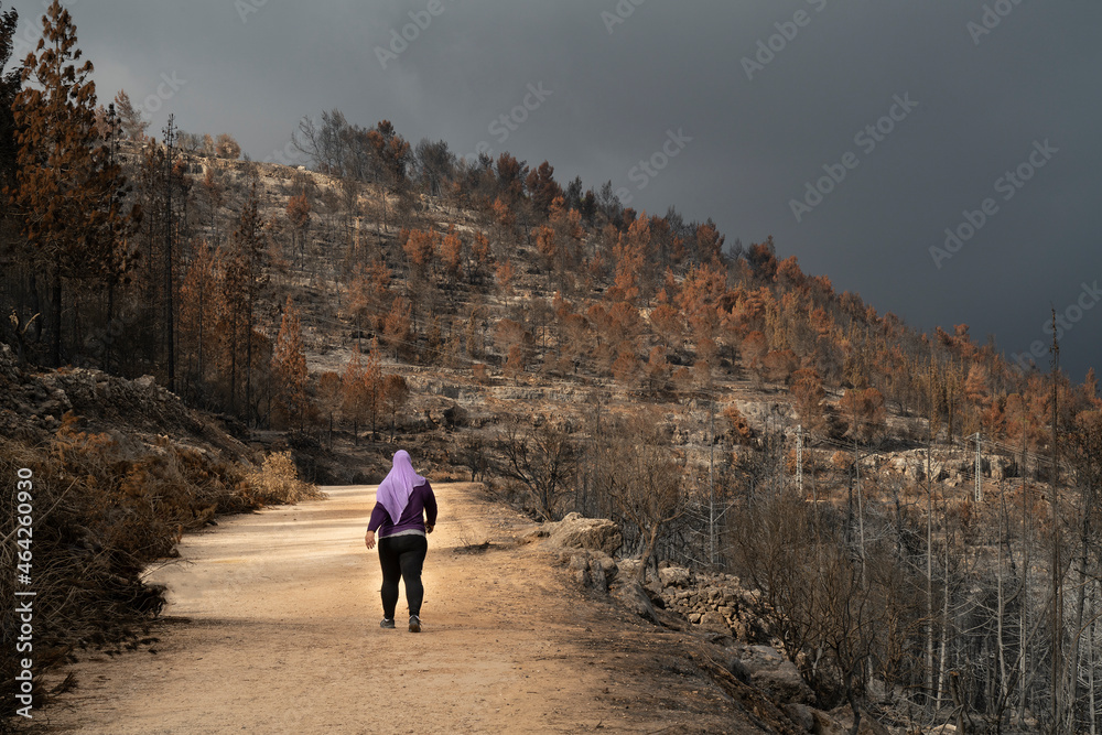 A Woman on a Forest Path after a Wildfire