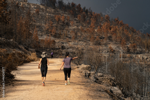Women on a Forest Path after a Wildfire