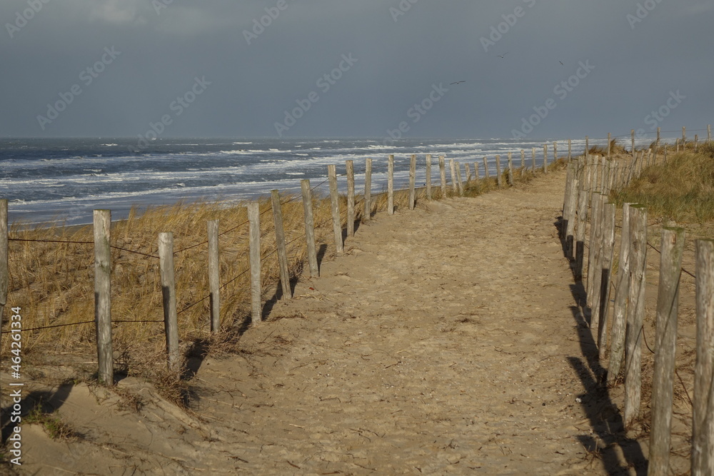Fenced in sandy dune path at a North Sea beach with rolling waves on a sunny stormy winter morning, Egmond aan Zee, North Holland, Netherlands
