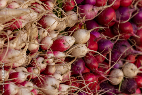 Farmers Market