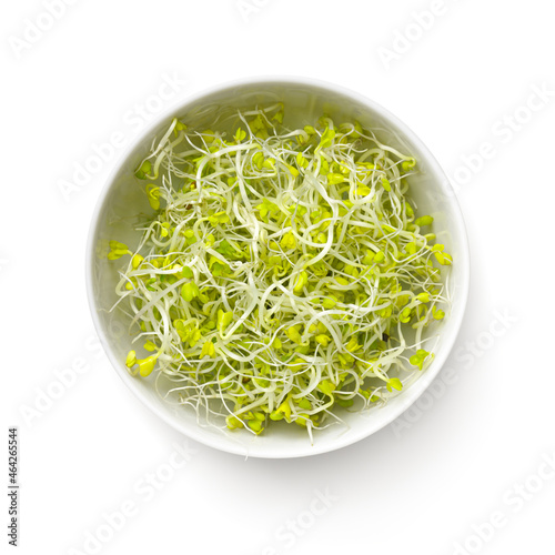Fresh Broccoli Sprouts In White Bowl Isolated