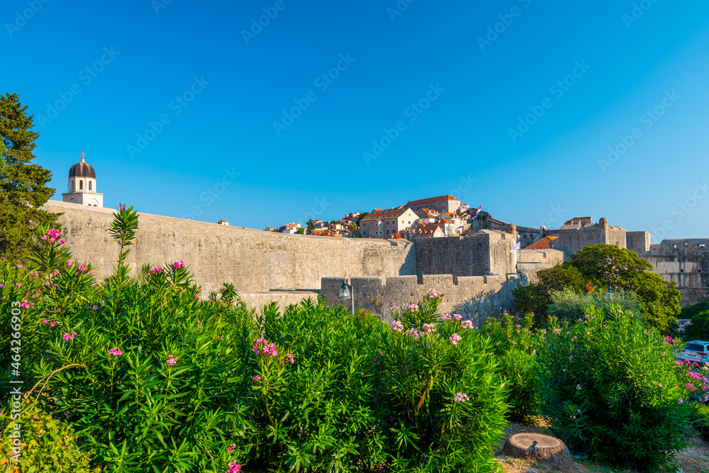 Dubrovnik city walls and Minceta tower, panoramic view of city. Green tress, palms and oleander flower. Beautiful ancient city and fortress, adriatic sea. Sunny summer day.