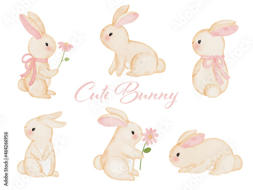 Digital painting watercolor rabbit. Vector illustration