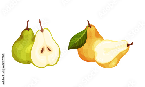 Fresh ripe pears set. Whole and cut in half organic yellow and green fruit vector illustration