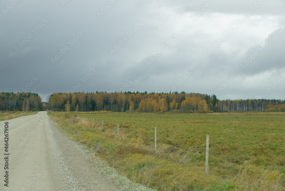 Fototapeta premium a number of sandy country road with dramatic skies before rain on the edge of a green meadow