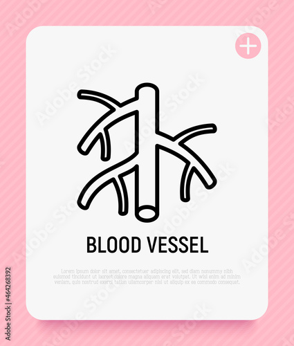 Blood vessel thin line icon. Modern vector illustration.