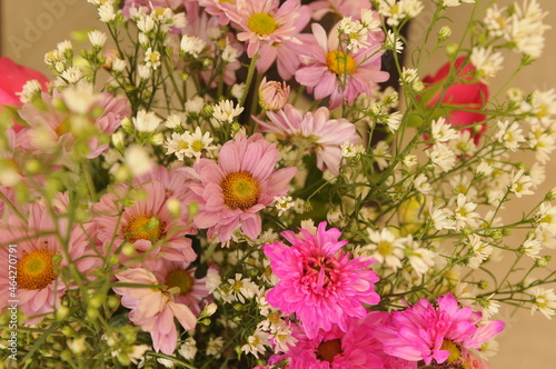Fototapeta Naklejka Na Ścianę i Meble -  bouquet of white and pink flower, chrysanthemum and chamomile