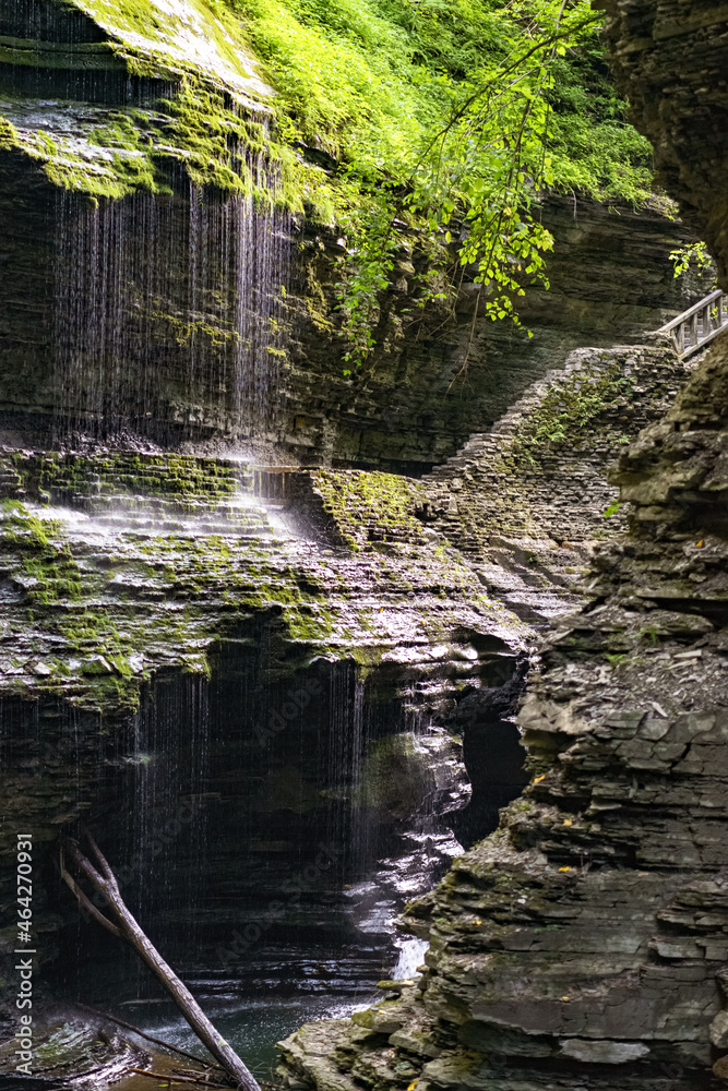 Fototapeta premium waterfall in the forest