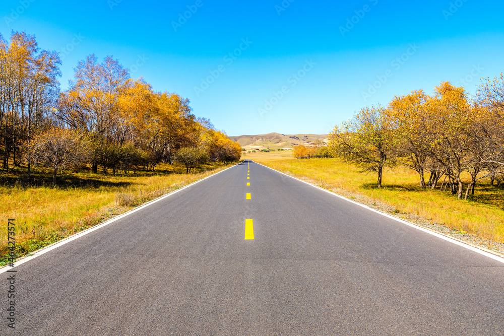 Straight asphalt road and autumn forest landscape.Road and trees background.