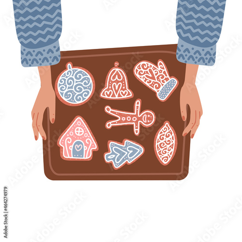 Two female Hands holding baking tray with christmas gingerbread cookies. Top view isolated concept. Flat Vector illustration of winter holidays traditional food.