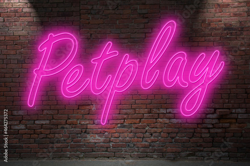 Neon Petplay lettering on Brick Wall at night