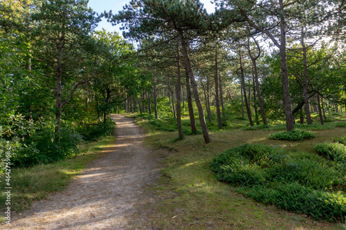 path in the park