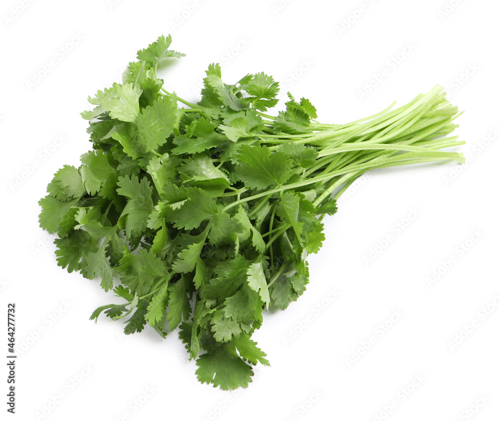 Bunch of fresh coriander on white background, top view Bunch of fresh coriander on white background, top view