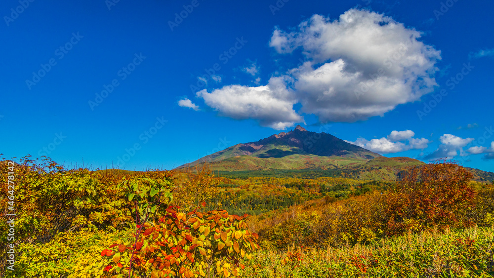 秋　利尻島　北海道　紅葉　絶景