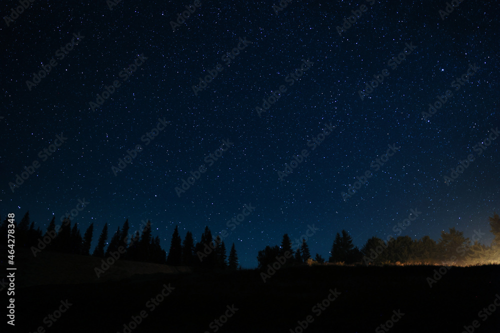 Fototapeta premium Beautiful view of dark forest under starry sky at night