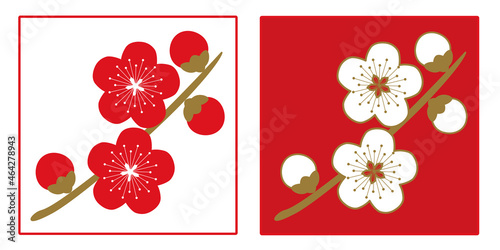 梅の花と蕾が付いた枝。赤い梅と白い梅のセット。