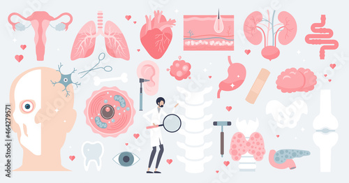 Human anatomy and isolated medical organs in tiny person collection set. Elements with inner parts from digestive or cardiovascular system vector illustration. Physiological body assets and resources.